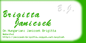 brigitta janicsek business card